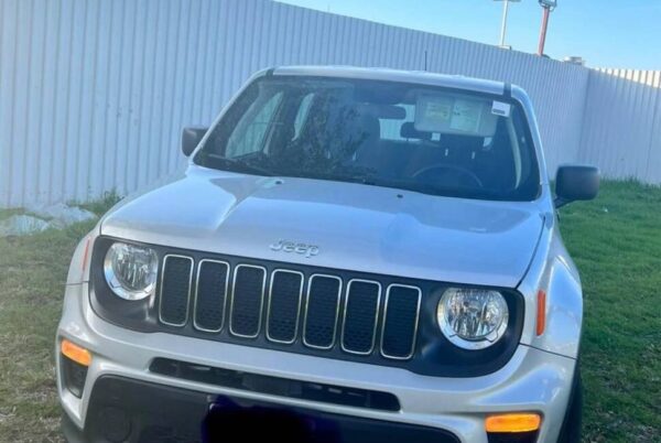 Jeep Renegade Sport 2019 - Imagen 2